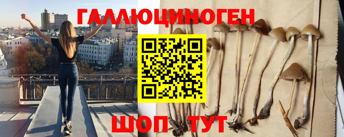 Псилоцибиновые грибы мицелий  Вход с VPN  Кызыл 
