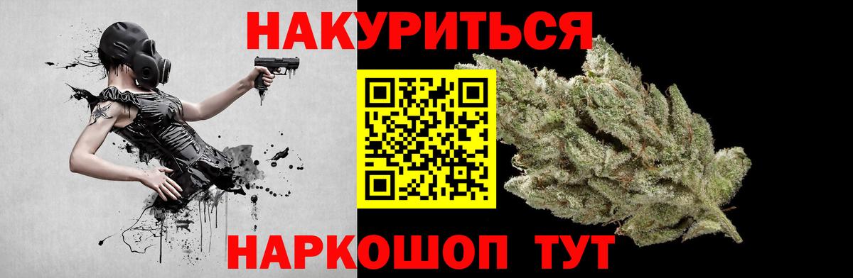 Марихуана сатива Кызыл
